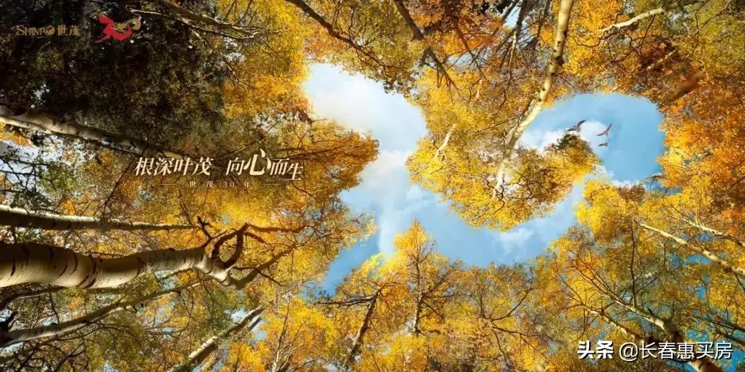 世茂莲花山现状,世茂城市广场新开