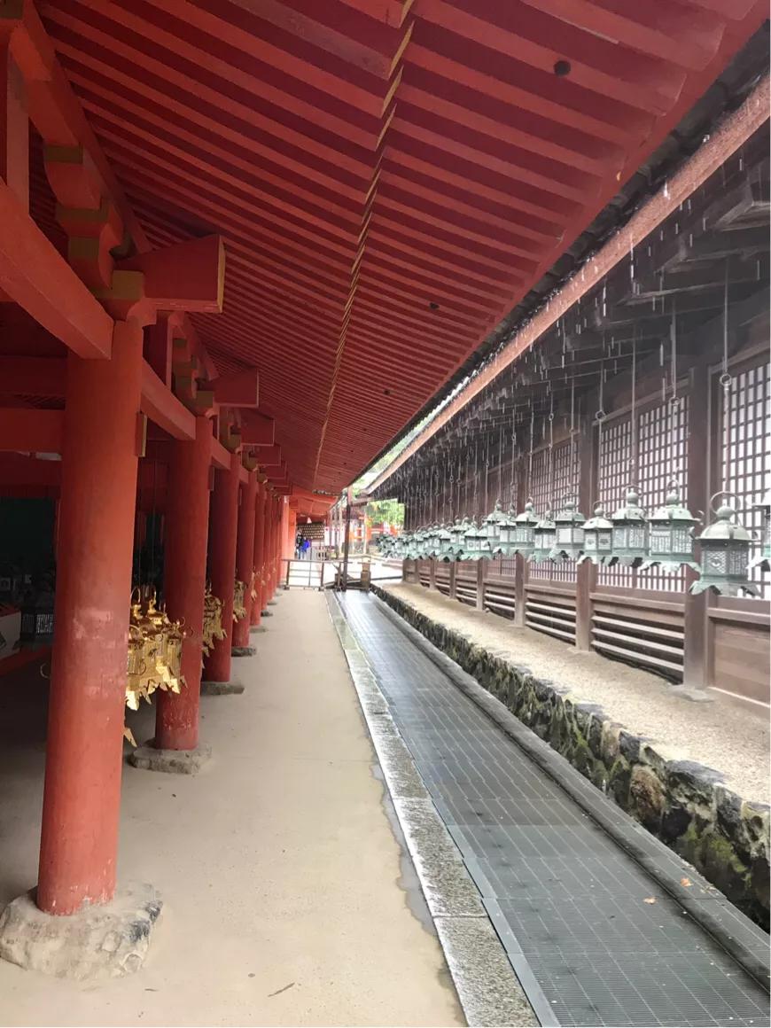 日本旅游攻略本州双古都7天,日本本州六日游攻略