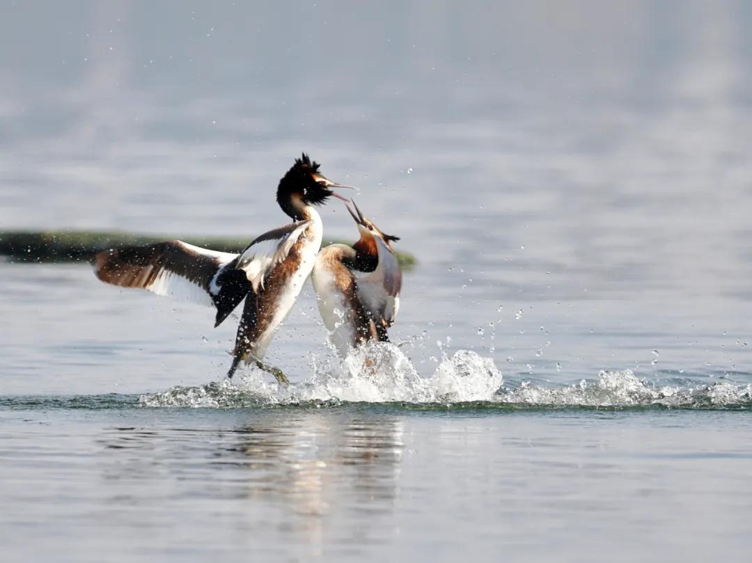 香港第14届全国摄影艺术展,第29届全国摄影艺术展览获奖名单