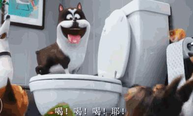 马桶一直吱吱响是怎么回事,装修卫生间异响