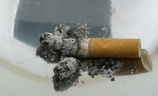 养花虫害大全,花草生害虫怎么办