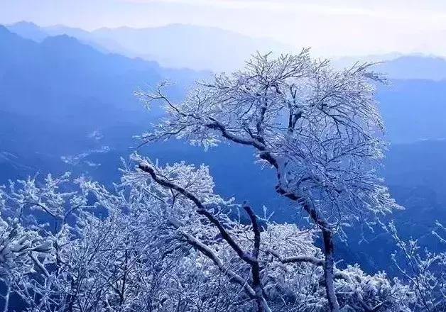 雾凇之美宛若仙境,连云港花果山雾凇美得像仙境