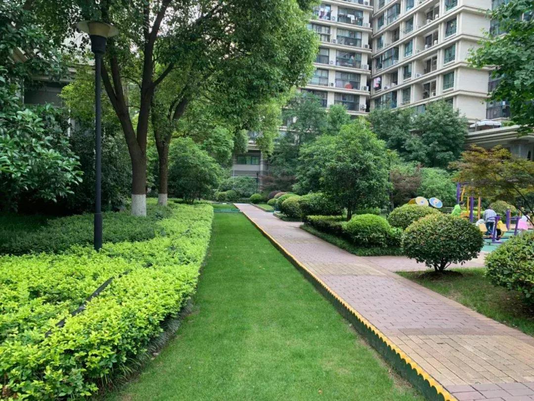 我叫雅居乐花园，我只想做个安安静静的*男美**子