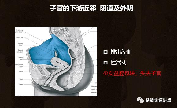 身为女人的我们如何保护好自己,作为人类我们如何保护地球