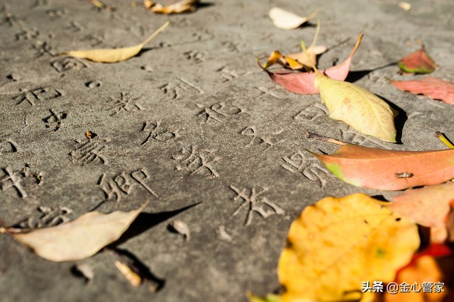 各地方言经典口头禅,各地方口头禅方言