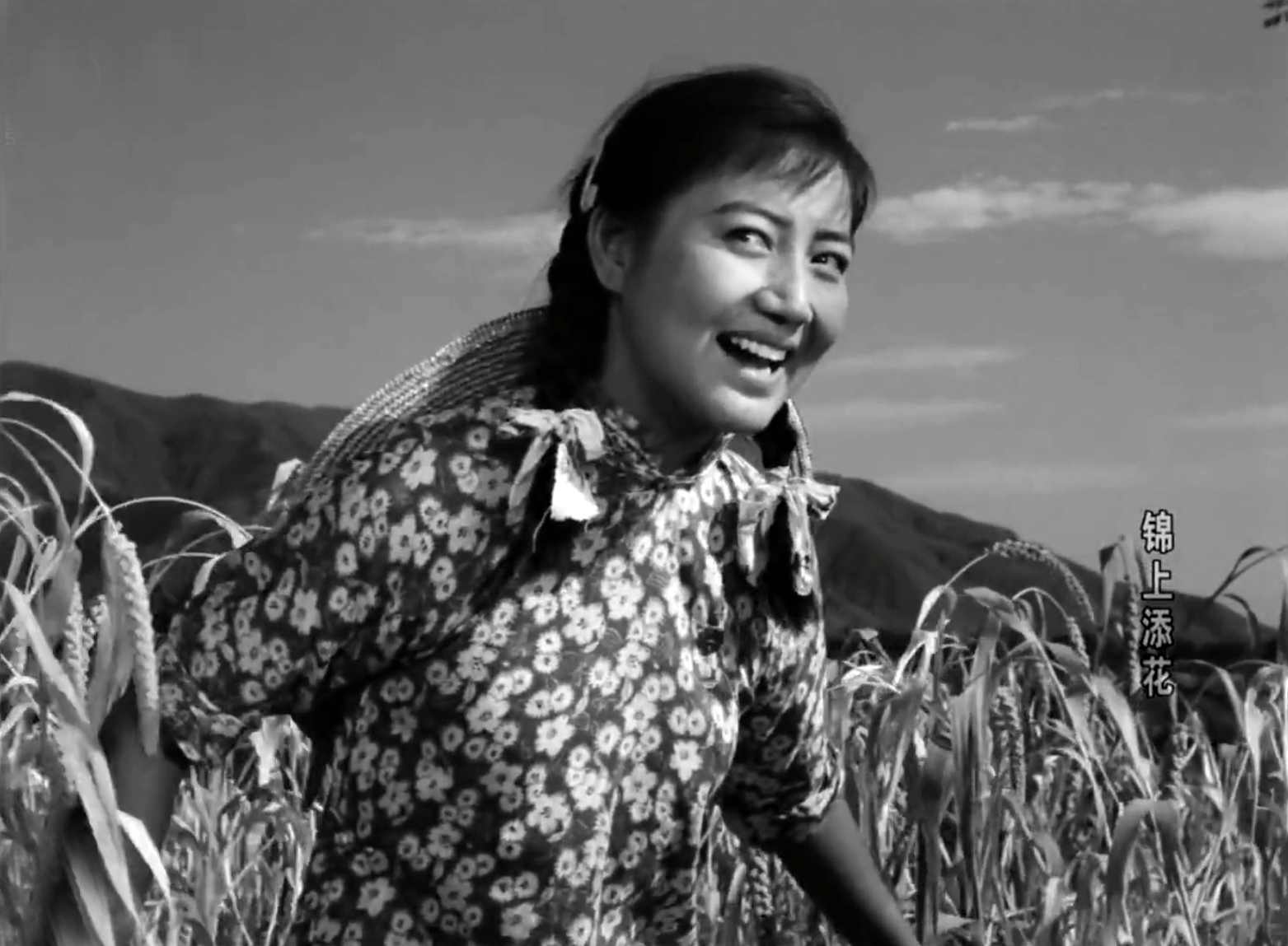 宅家里看老电影,宅在家里看的十二部电视剧