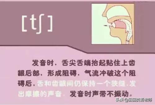 基础英语48个国际音标详解，赶紧来学习！