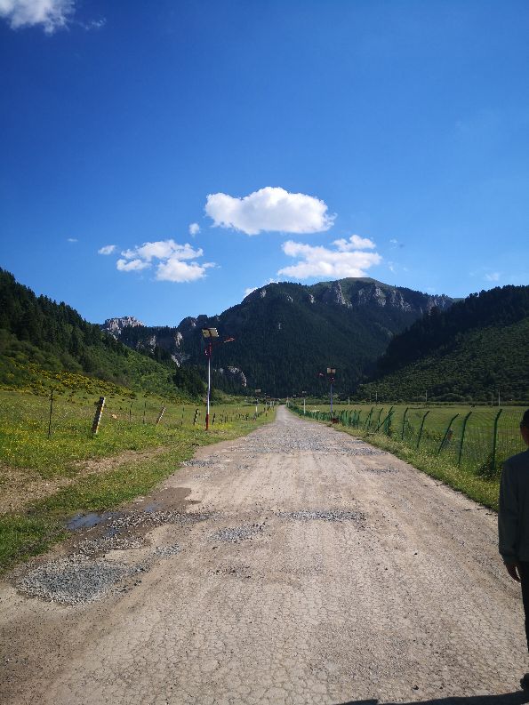 甘肃则岔石林旅游景区,则岔石林哪个漂亮
