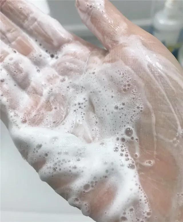 日本洗面奶fancl,日本洗面奶哪款好用又实惠