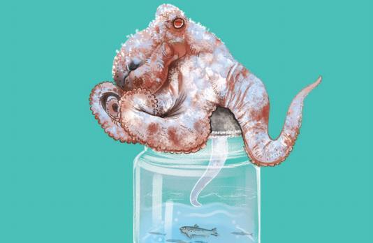 像章鱼一样的外星生物有哪些,长得像章鱼的外星人