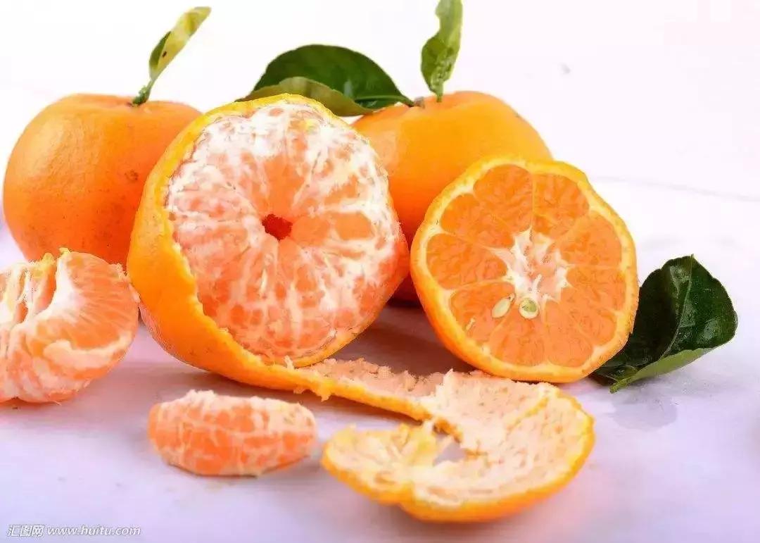 橘子皮切碎了丢瓶里，秒变大肥王，绿萝吃了疯长10米！