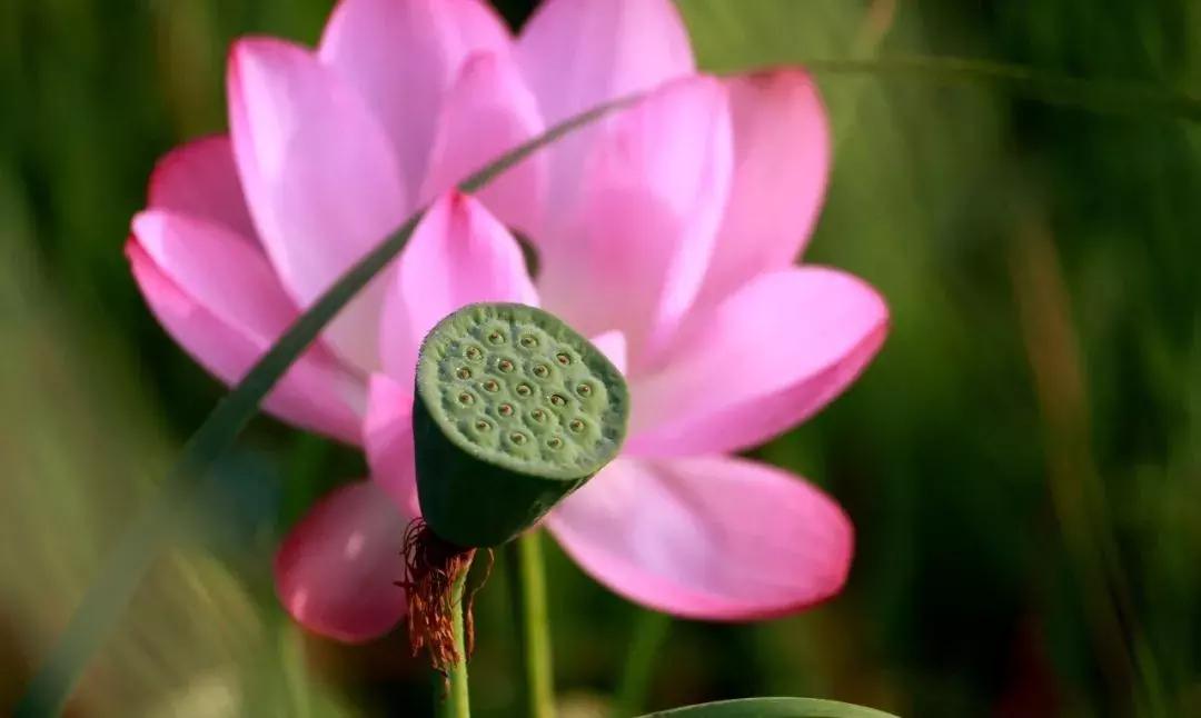 威海游览,威海玩美攻略潮玩街区