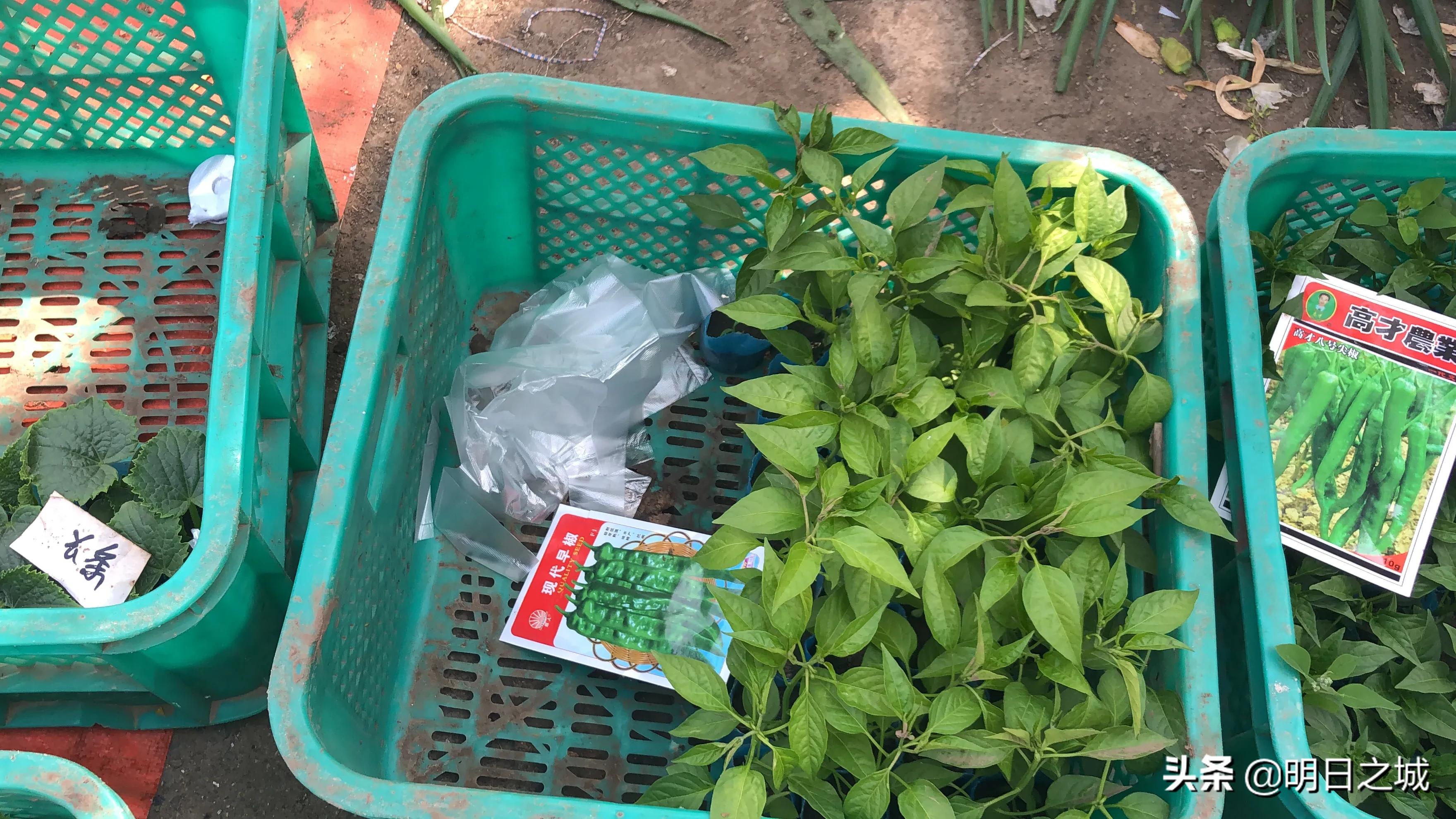 长春早市晚市大集大全2021,长春目前存在的早市