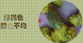 宝宝刚吃辅食就挑食怎么办,宝宝刚吃米糊拉肚子