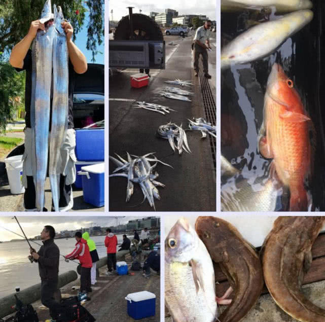 在澳洲的生活是一种怎样的体验：这边的人很懒，非常喜欢钓鱼