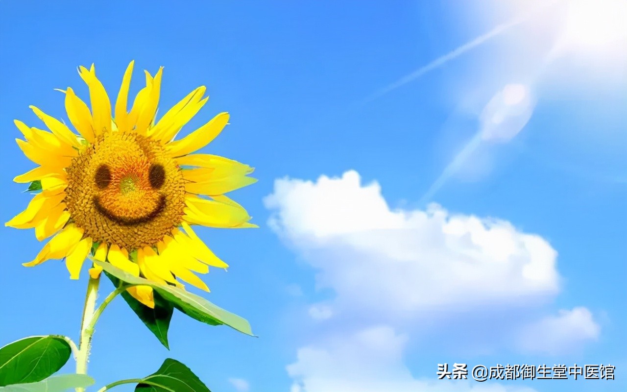 生病这么久了，原来都是肺阴虚惹的祸，老中医告诉我这么调理