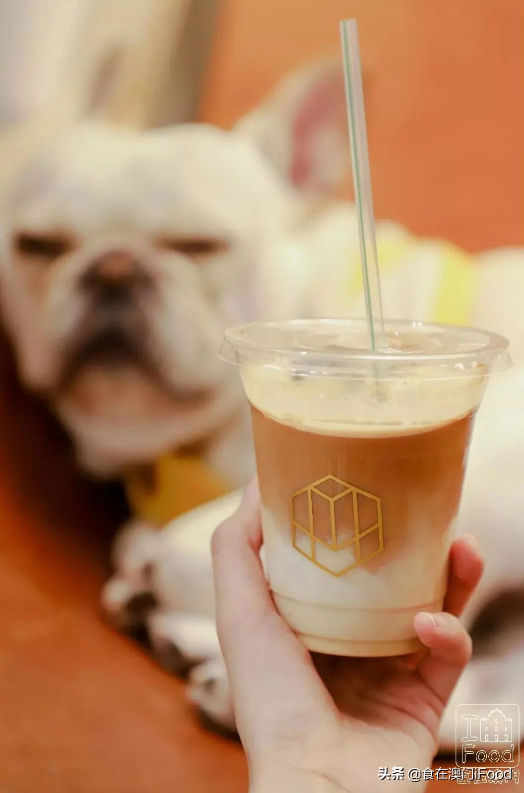 澳门探店|揭秘澳门这⑨间人气网红咖啡店!