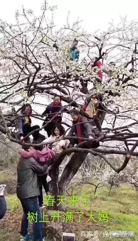 有一种媳妇叫做别人家的媳妇,有个日本老婆是一种什么样的体验