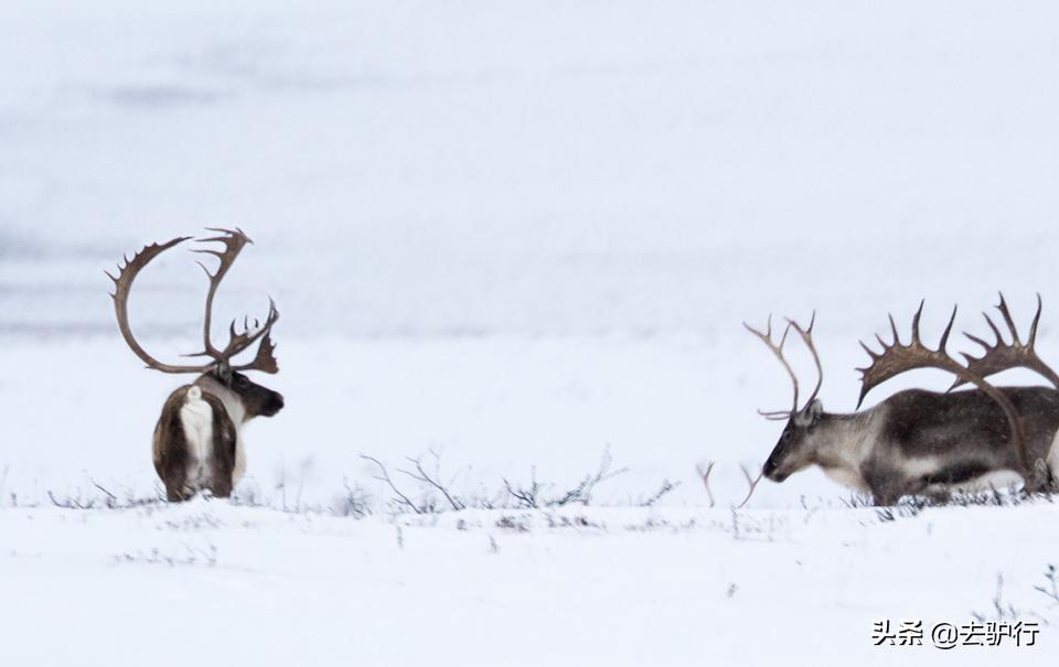 美国历史最冷的小镇,美国最冷的小城市