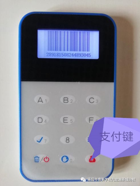 南昌育新学校九龙湖分校有小学吗,南昌育新学校九龙湖新城分校