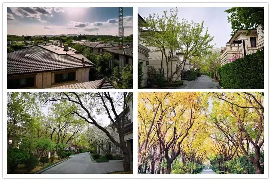 脱颖而出北京,北京别墅区排名前十名九章别墅