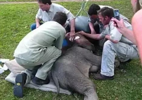 他们被杀之后，依然在爱你