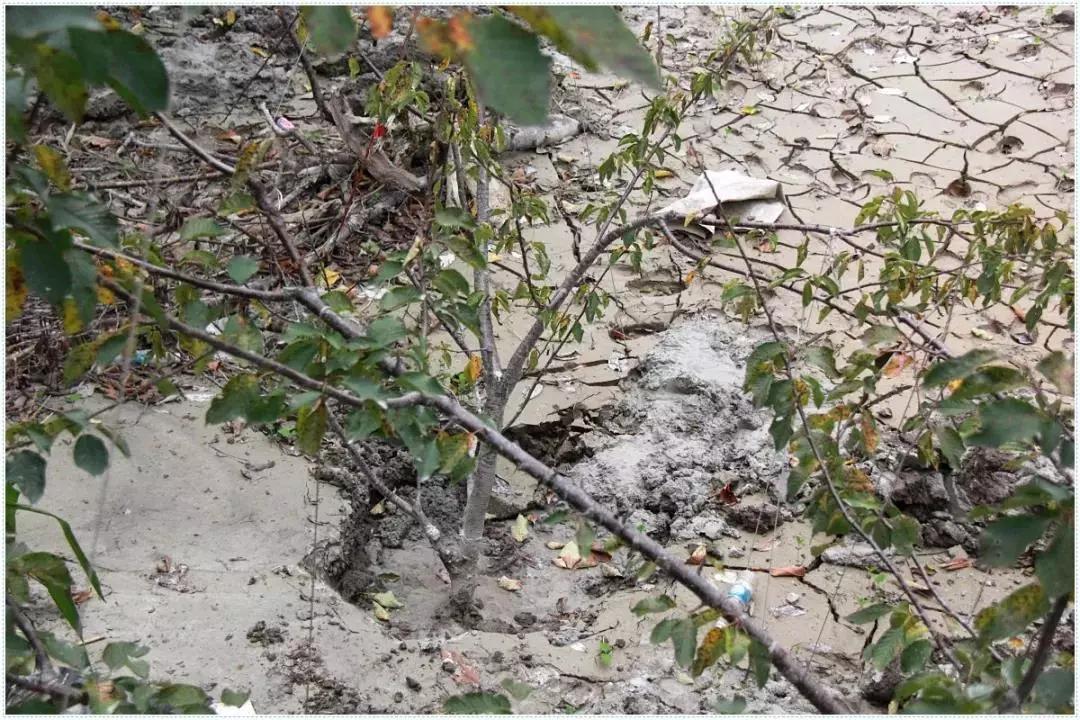 暴雨吊桥救人,暴雨救援桥