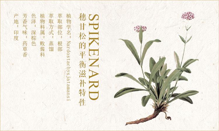 玫瑰纯植物芳香精油的功效与作用,芳香类植物精油