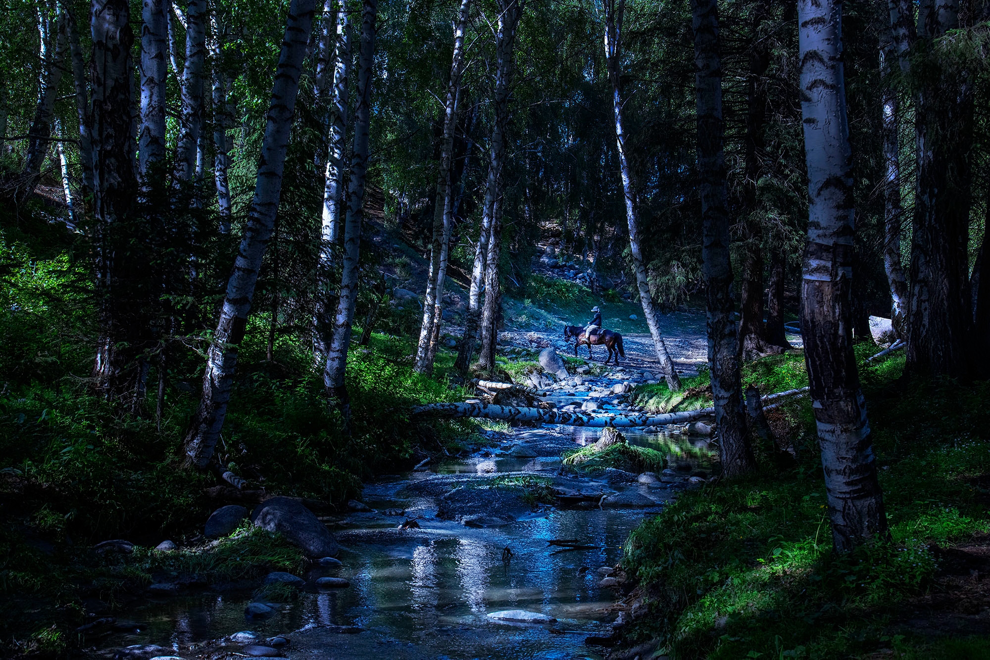 eosr5适合风光摄影吗,eosr和r5哪个拍视频好