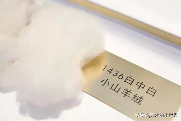 loropiana的围巾多少钱,loropiana围巾欧洲价格是多少