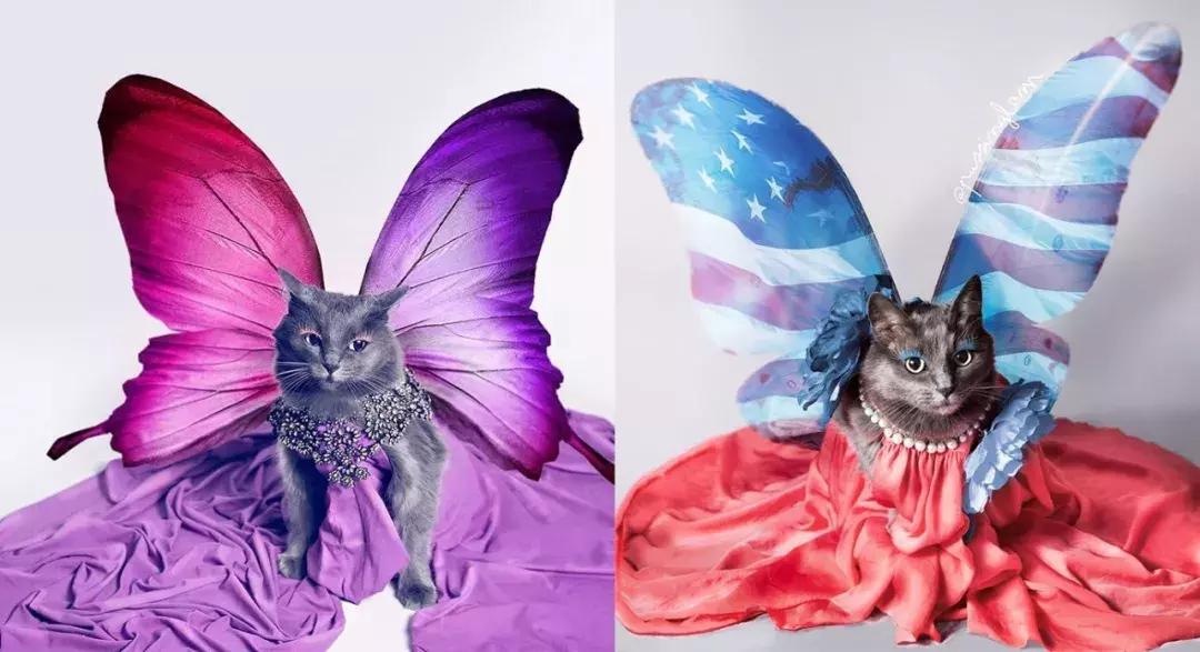 gucci和supreme联名马丁靴,guccisupreme鞋子