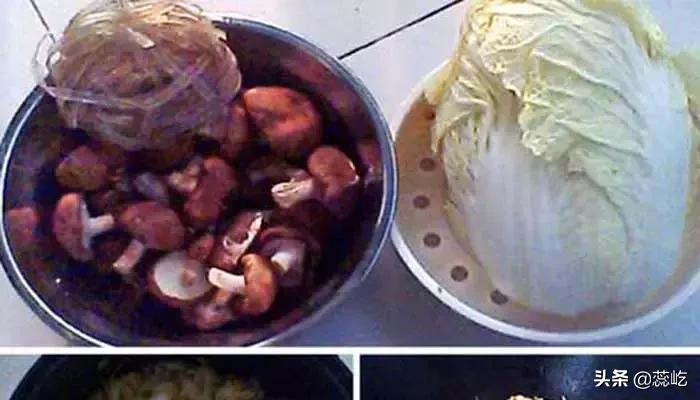 素饺子做法集锦视频,槐花素饺子的做法