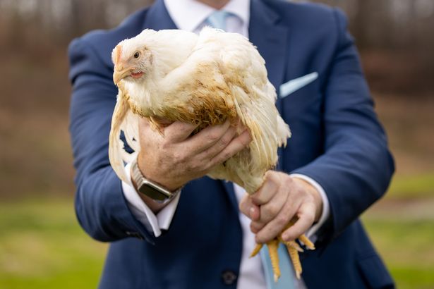英国洗洁精洗鸡肉,英国洗衣液除螨除菌