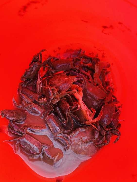 上海沙滩景区,上海奉贤海湾沙滩