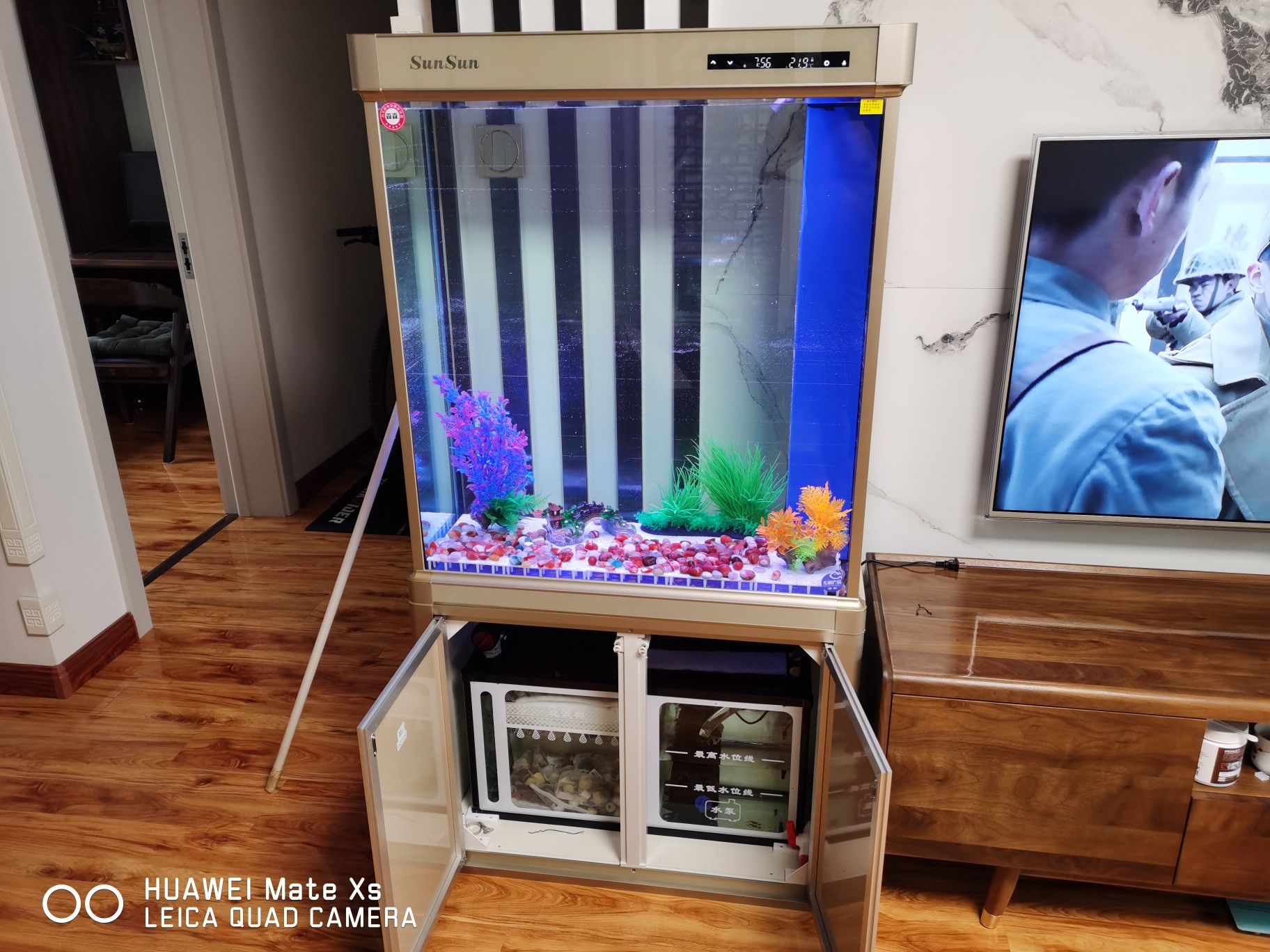 底滤鱼缸里的鱼粪抽不走怎么办,底滤鱼缸为什么吸不走缸底的粪便