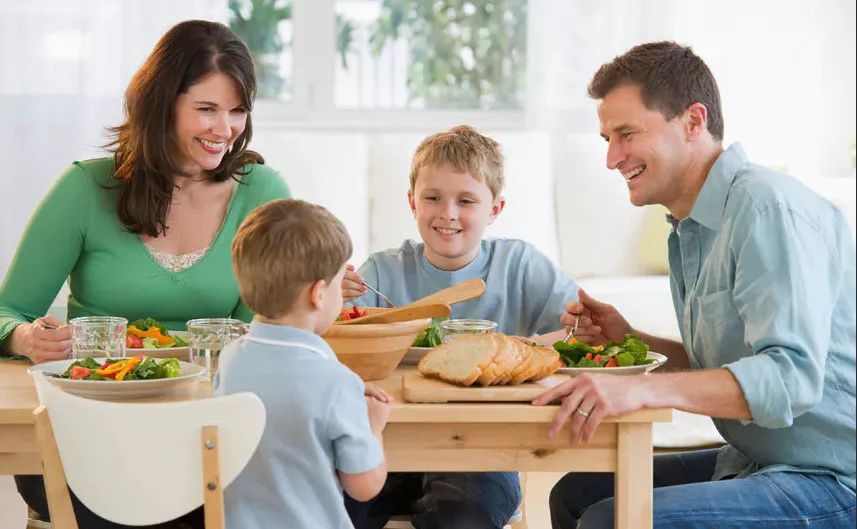 荷兰国家的教育孩子方式 (荷兰的父母怎么教育孩子)