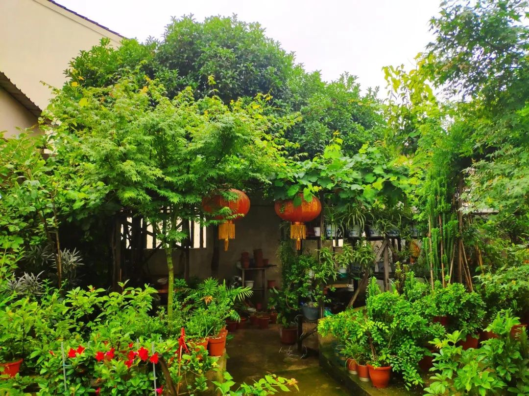 风景好的地方江阴,江阴好风景