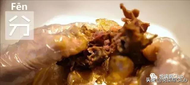 连成都人都赞不绝口的兔头空降安顺！这些兔兔还是安顺人自家养的