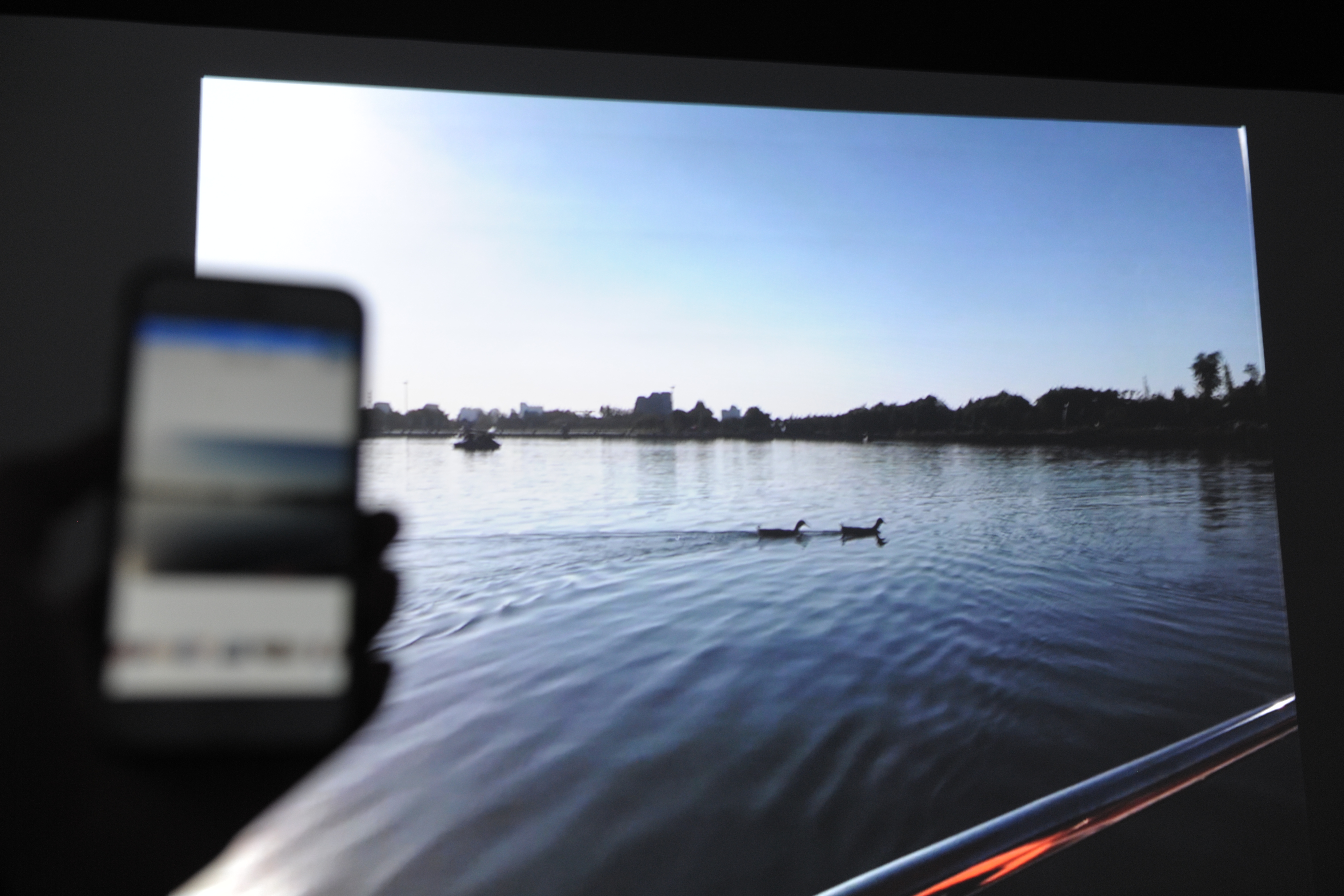 家庭投影机选什么样的幕布,家庭投影仪不要幕布