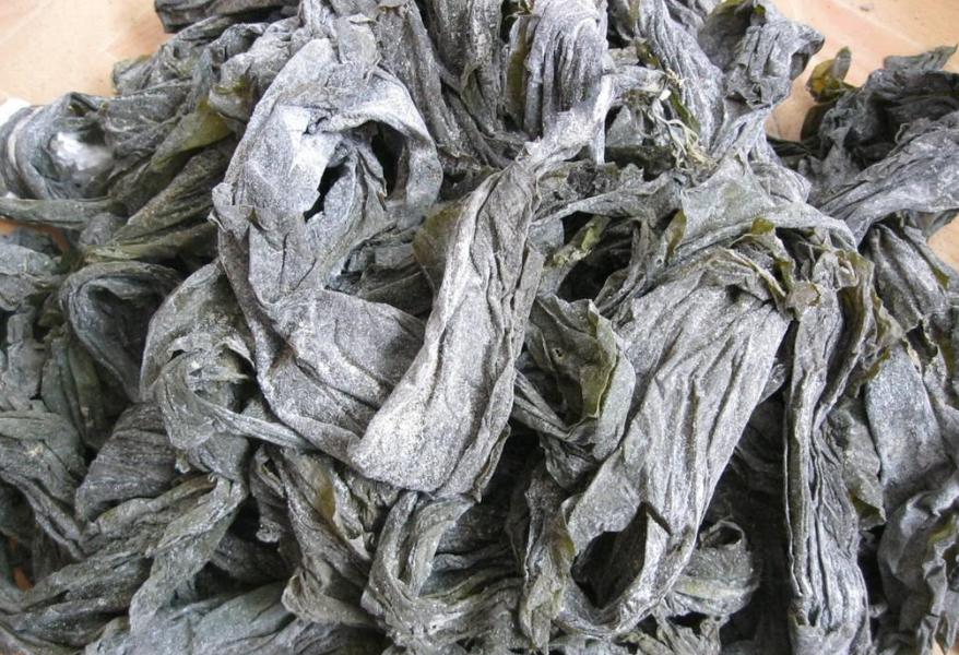 海带绿色买回来为什么变褐色,海带绿色的好还是黄色的好