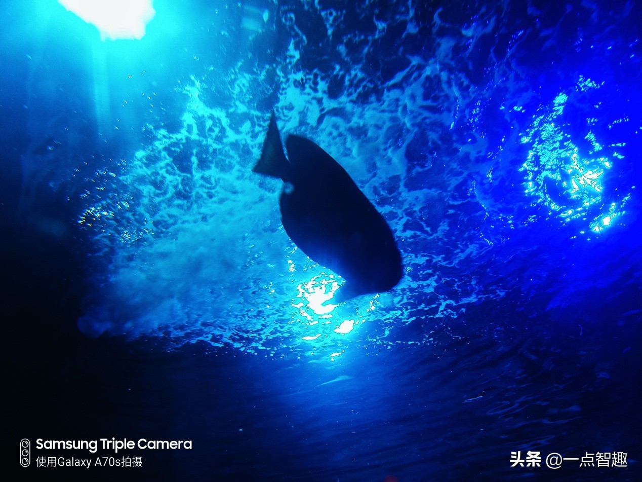 三星a70与a70s拍照对比,三星galaxya70拍照效果