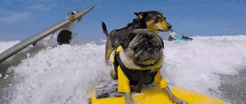 夏日冲浪前后对比,夏日冲浪尾浪