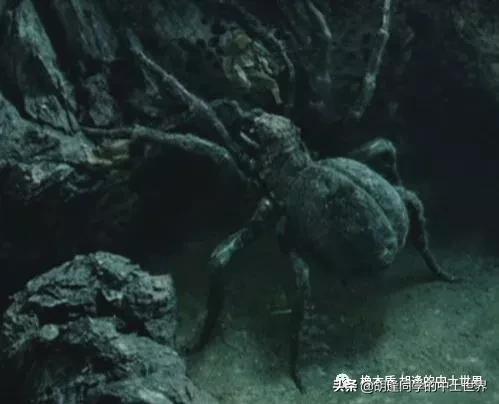 中土世界蜘蛛怎么拼图,中土世界大蜘蛛