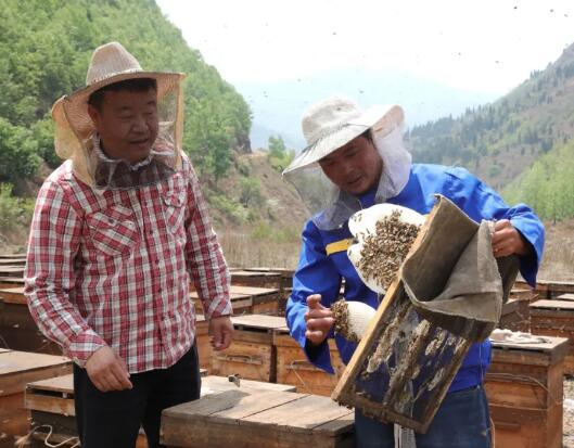 如何融化沉淀蜂蜜,蜂蜜结晶了怎么把结晶的蜂蜜融化