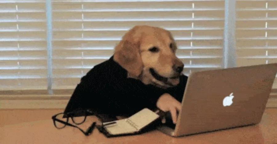 温哥华有便宜的房子吗,在温哥华能买到什么样的房子