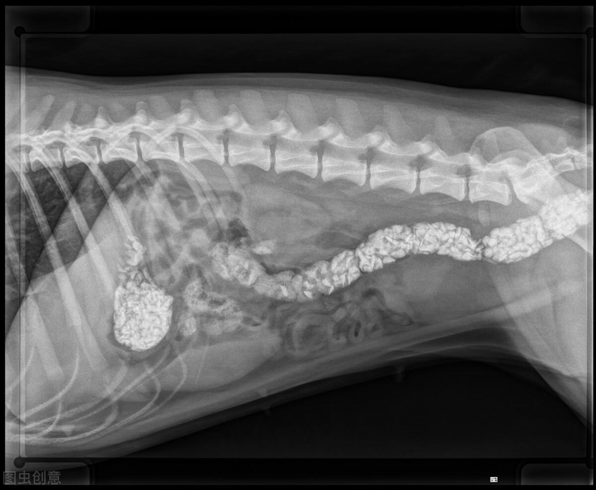 宝宝误服药物后的相应紧急措施,孩子一般误服药物多久后会有症状