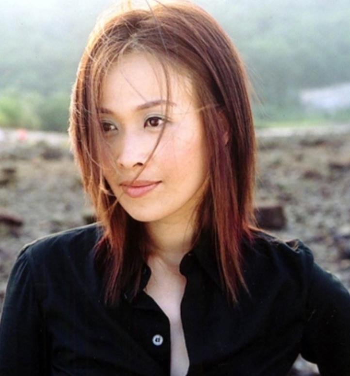 那英歌坛大姐完整视频,歌坛大姐大梅艳芳的传奇故事