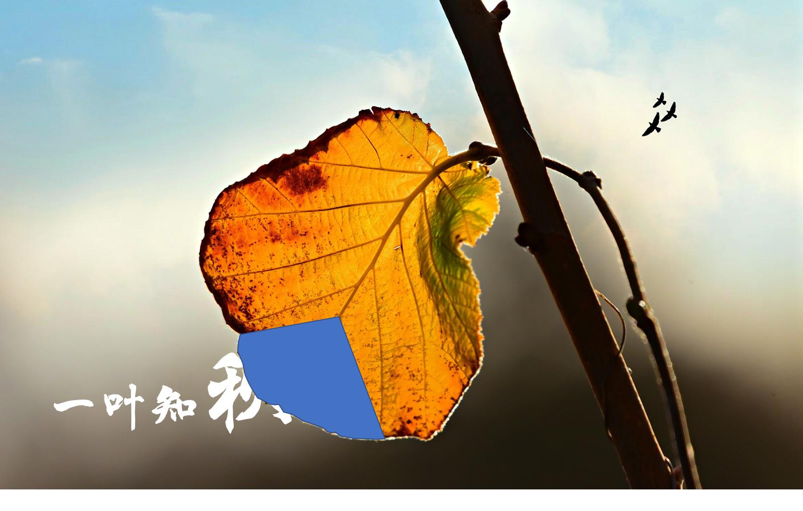 ppt的制作与排版技巧,软装ppt的制作方法与技巧