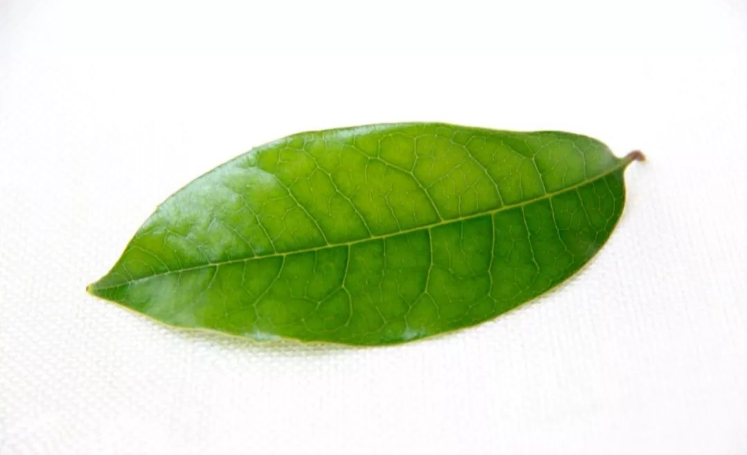 梦工场简介,梦工场品牌策划