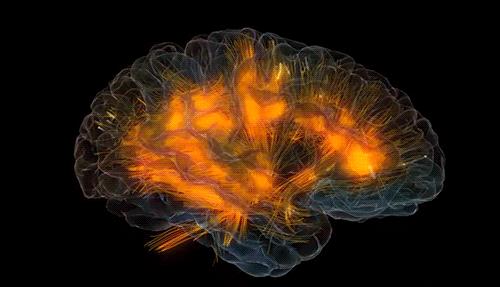 中国干细胞治疗脑损伤的新药,干细胞治疗大脑损伤最新进展